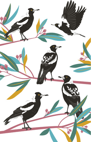 Magpies Tea Towel - Native Australian Birds Themed Gifts
