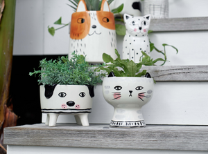 Best cat themed accessories for home - ceramic homewares