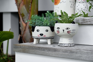 Unique shaped planters - ceramic animal planters for pet friendly homes