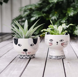 Cute homewares for dog lovers and pet owners - ceramic planters