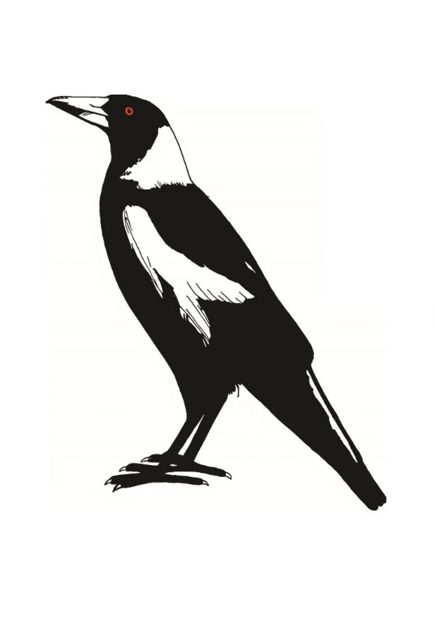 The Magnificent Magpie