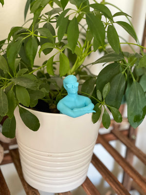 Cool Plant Accessories and Home Decor Ideas