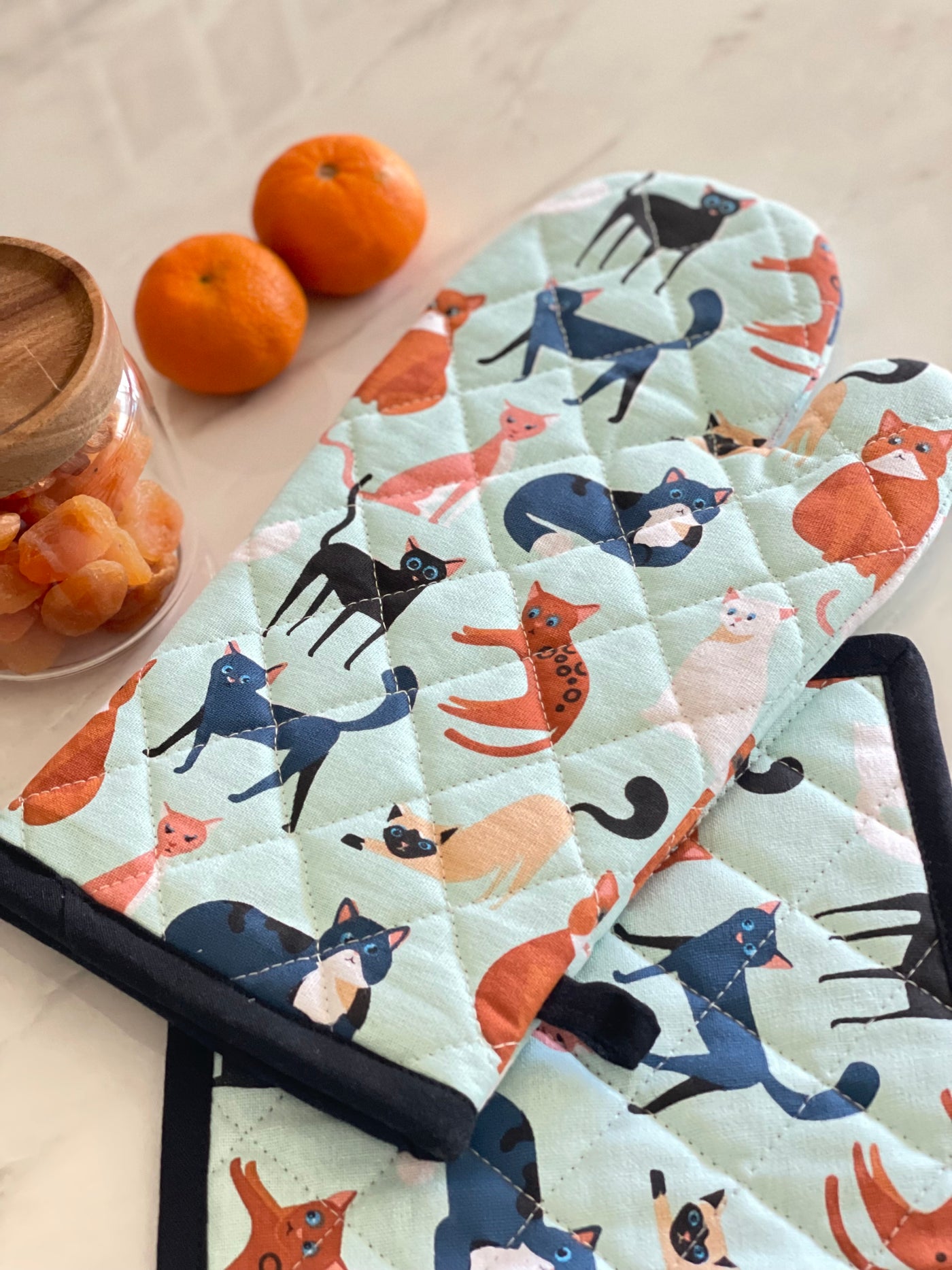 Cat Pot Hoder Colourful Cats Set - Oven Mitt and Pot Holder – AUSTPICIOUS
